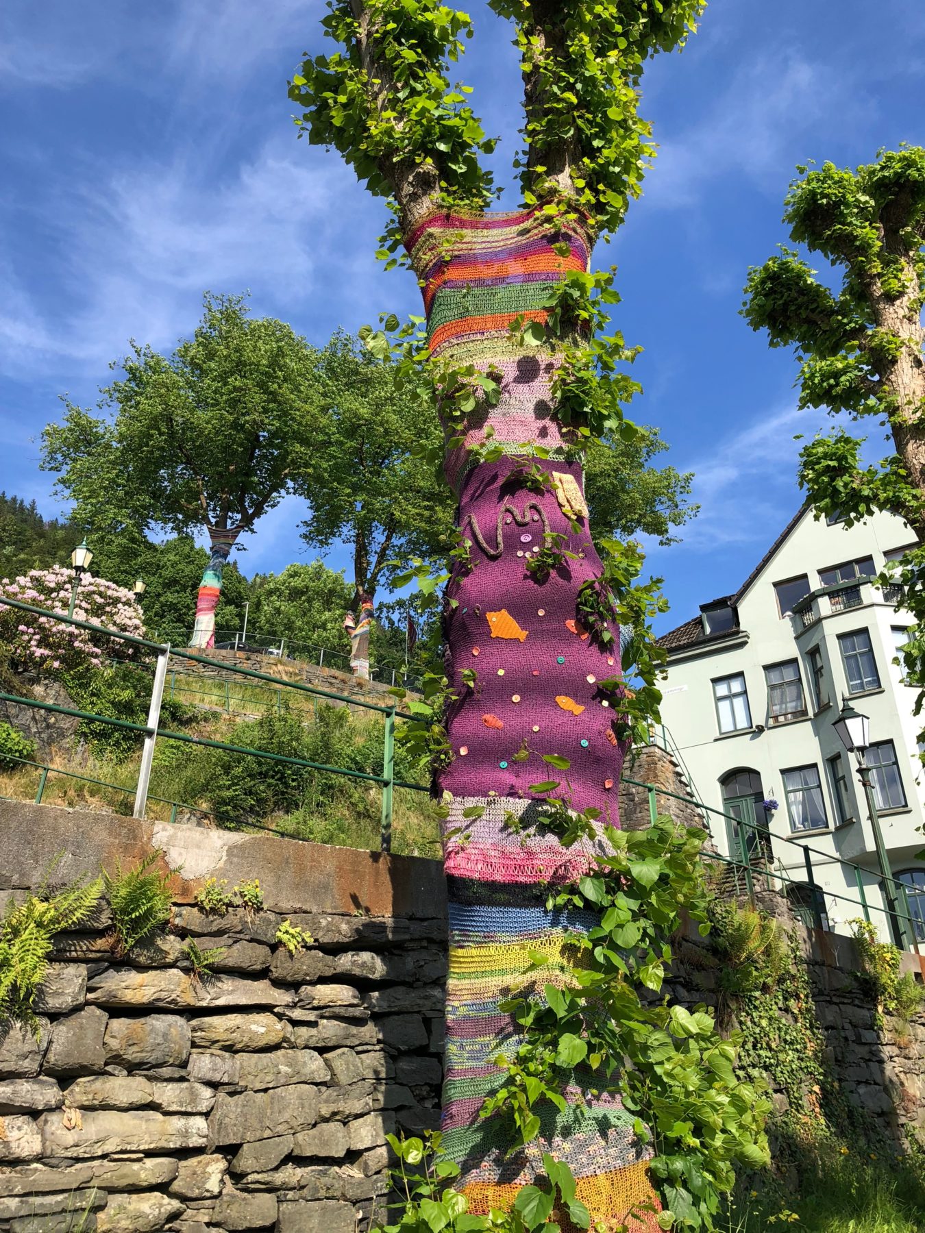 Norway - As if you needed more reasons to hug a tree. Yarn bomber hits Bergen! Norway - As if you needed more reasons to hug a tree. Yarn bomber hits Bergen!