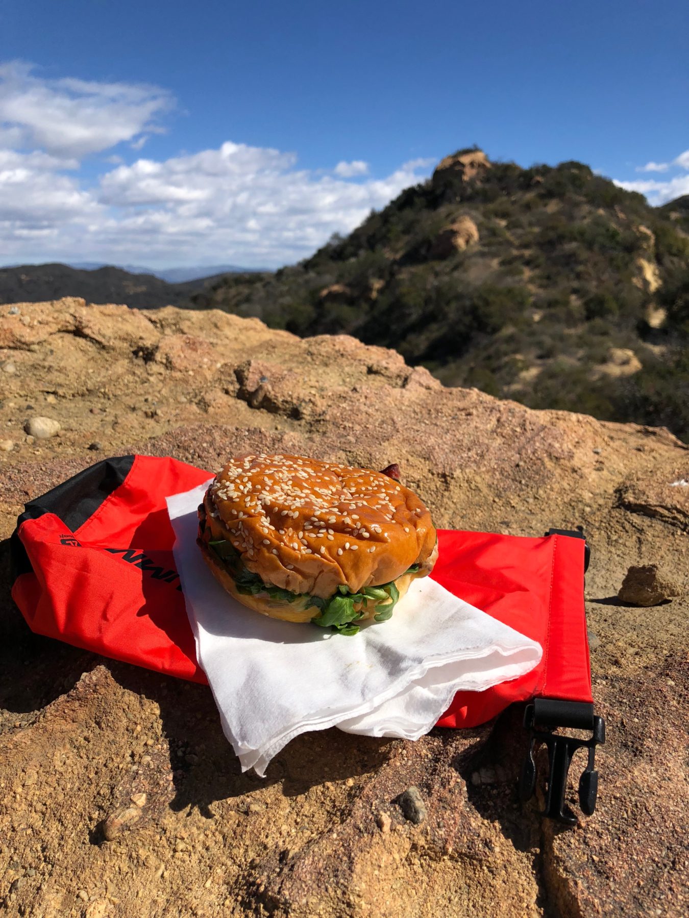 Malibu / Mt. Baldy - Our sandwich got a little smushed inside our backpack, but it still tasted great. Malibu / Mt. Baldy - Our sandwich got a little smushed inside our backpack, but it still tasted great.