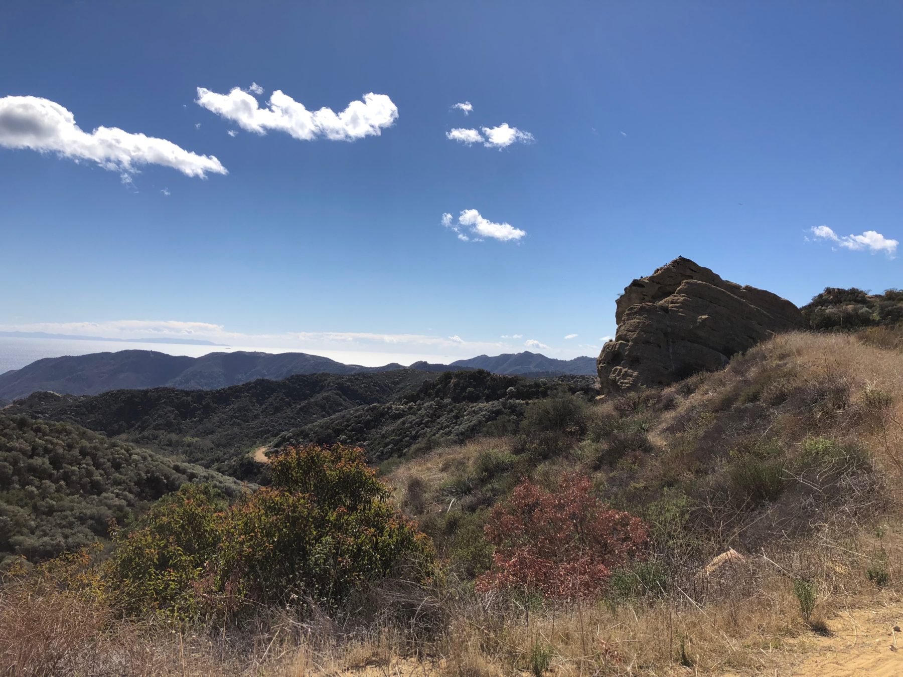 Malibu / Mt. Baldy - At more than 154,000 acres, the Santa Monica Mountains National Recreation Area is the largest urban national park in the world. The Woolsey Fire of November 2018 devastated this area and it sustained significant damage, with over 100,000 acres burned. We are so grateful to the firefighters and first responders who battled this blaze. It will take years and years before these mountains will look like they did before the fire. We’re hopeful to learn about volunteer efforts to help this area recover so that it can once again be the destination for hiking, biking, rock climbing and camping in Southern California. Malibu / Mt. Baldy - At more than 154,000 acres, the Santa Monica Mountains National Recreation Area is the largest urban national park in the world. The Woolsey Fire of November 2018 devastated this area and it sustained significant damage, with over 100,000 acres burned. We are so grateful to the firefighters and first responders who battled this blaze. It will take years and years before these mountains will look like they did before the fire. We’re hopeful to learn about volunteer efforts to help this area recover so that it can once again be the destination for hiking, biking, rock climbing and camping in Southern California.
