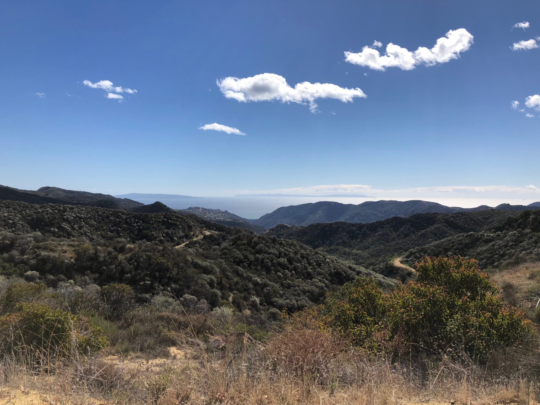 Malibu / Mt. Baldy - You can see the Pacific Ocean in the background. Malibu / Mt. Baldy - You can see the Pacific Ocean in the background.
