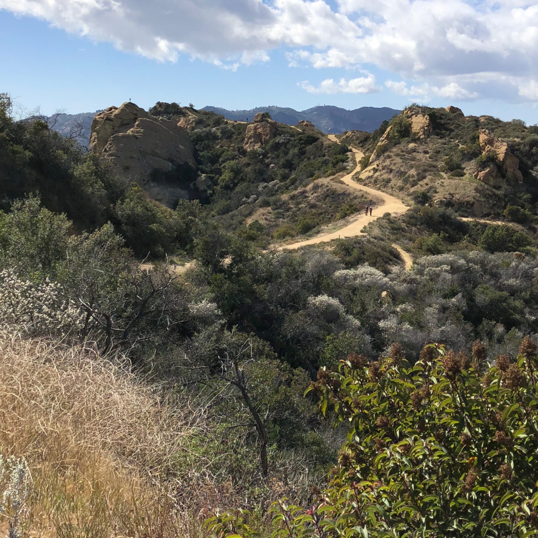 Malibu / Mt. Baldy - This view has everything – mountains, trails, and blue sky. Topanga State Park is a great hiking destination. Malibu / Mt. Baldy - This view has everything – mountains, trails, and blue sky. Topanga State Park is a great hiking destination.