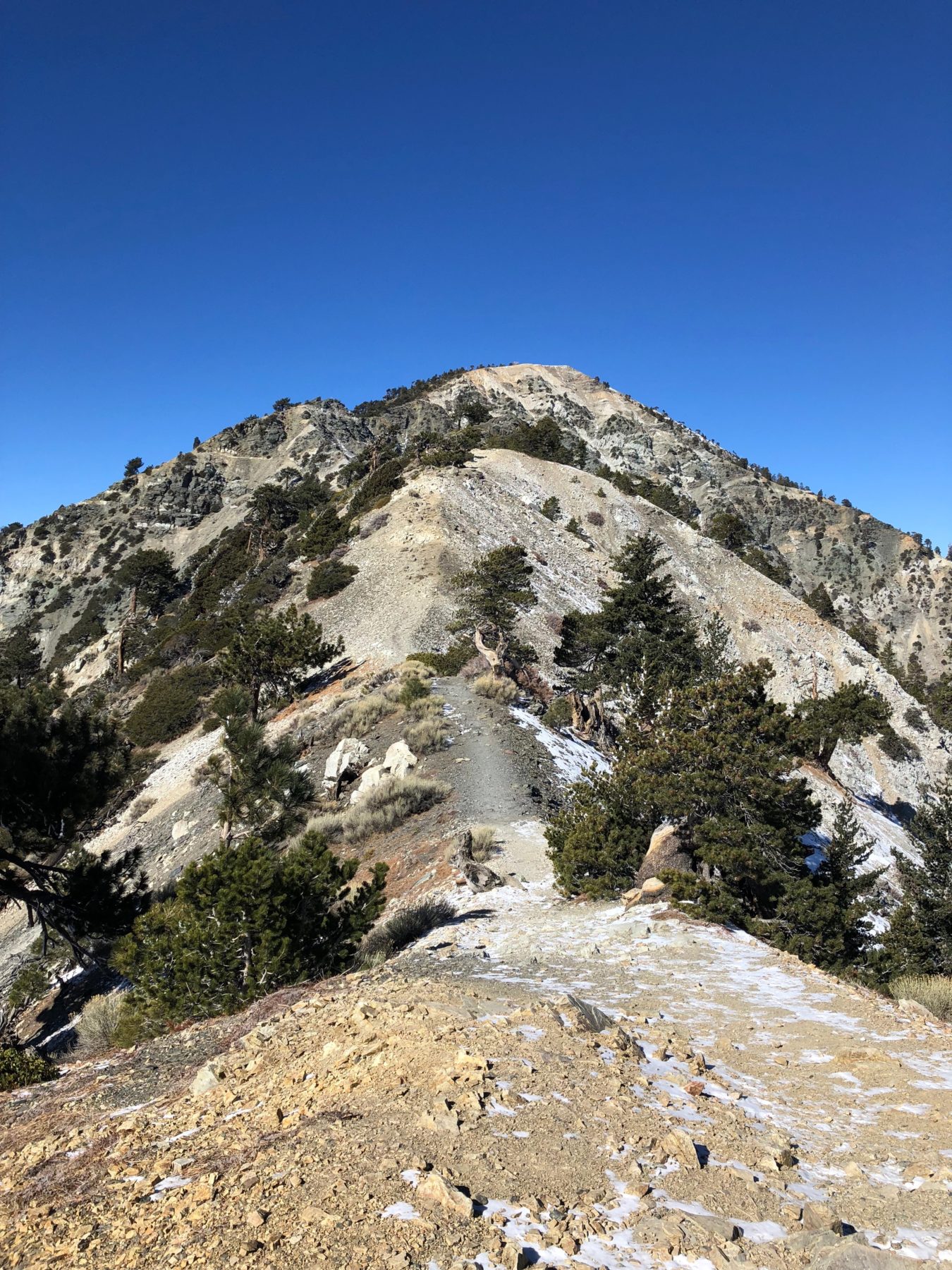 Malibu / Mt. Baldy - We decided to approach Mt Baldy from the Devil’s Backbone. The route takes us along this tantalizing spine which starts from The Notch and leads to the summit of Mt Baldy. The Devil’s Backbone Trail is 3.3 miles long with 2,350 feet of elevation gain. Malibu / Mt. Baldy - We decided to approach Mt Baldy from the Devil’s Backbone. The route takes us along this tantalizing spine which starts from The Notch and leads to the summit of Mt Baldy. The Devil’s Backbone Trail is 3.3 miles long with 2,350 feet of elevation gain.