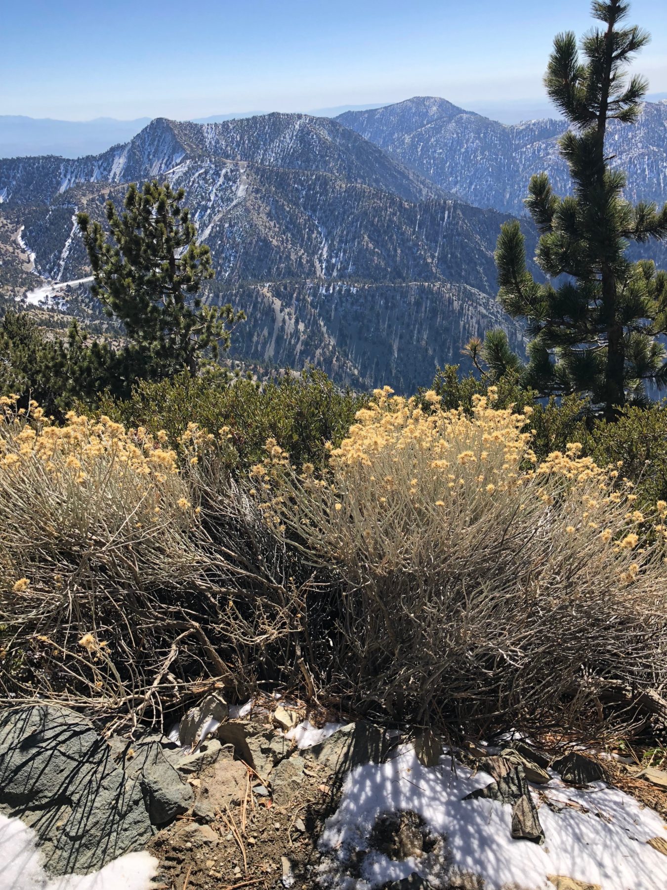 Malibu / Mt. Baldy - Views for miles! Malibu / Mt. Baldy - Views for miles!