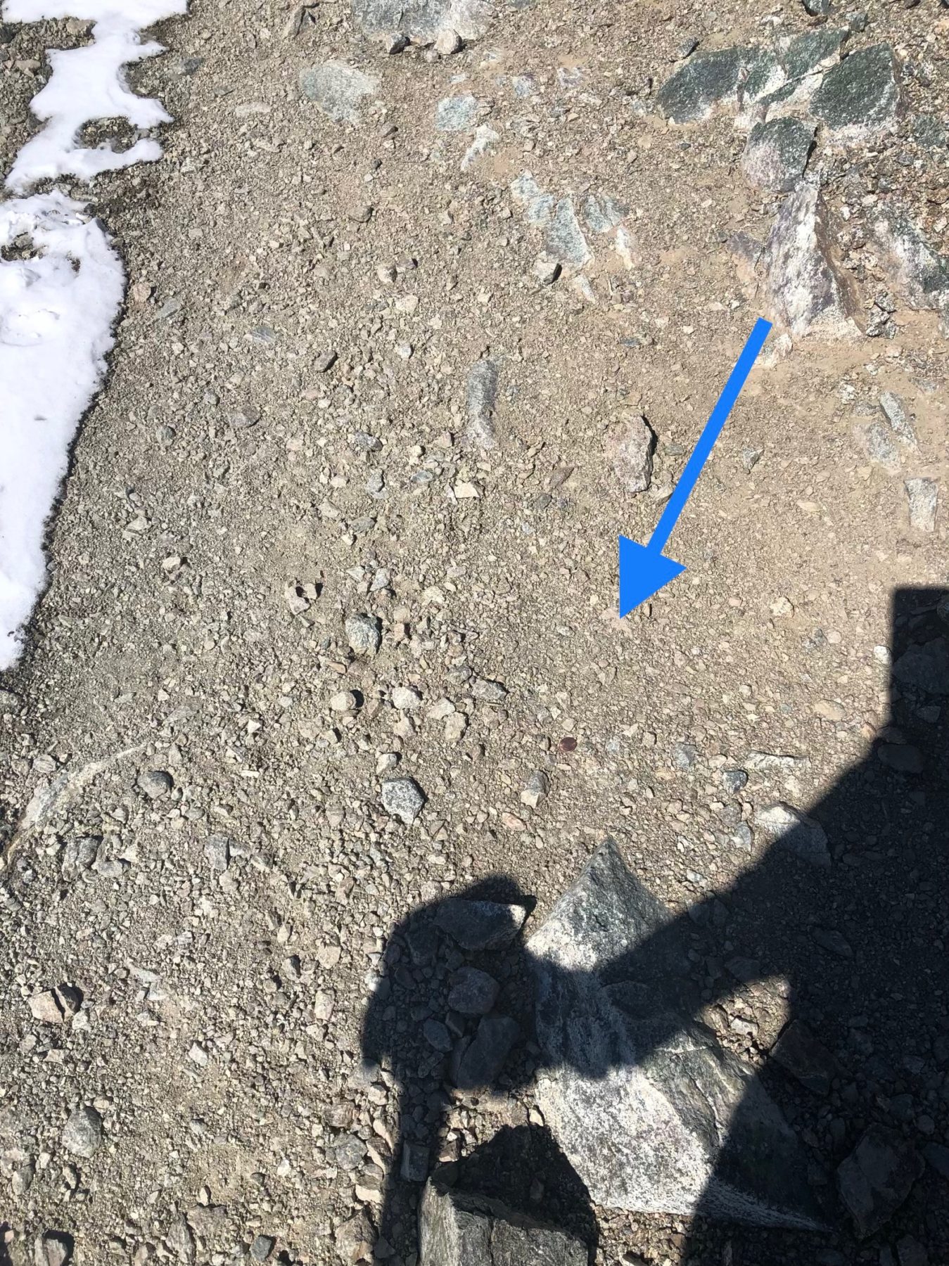 Malibu / Mt. Baldy - A lucky penny! Malibu / Mt. Baldy - A lucky penny!