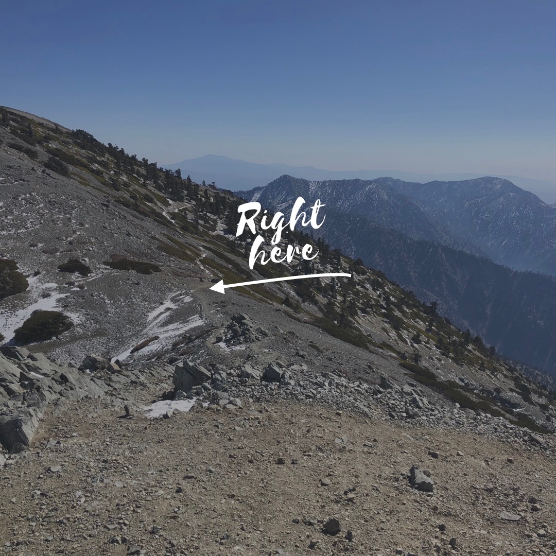 Malibu / Mt. Baldy - Thank you lucky penny! Malibu / Mt. Baldy - Thank you lucky penny!