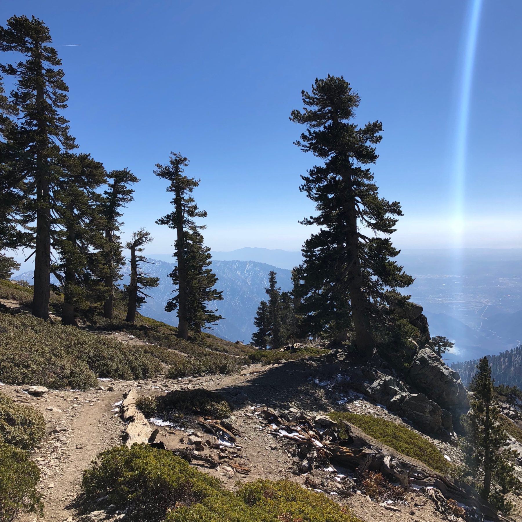 Malibu / Mt. Baldy - After a well-deserved lunch break at the summit, we descend towards the Baldy Bowl trail. Malibu / Mt. Baldy - After a well-deserved lunch break at the summit, we descend towards the Baldy Bowl trail.