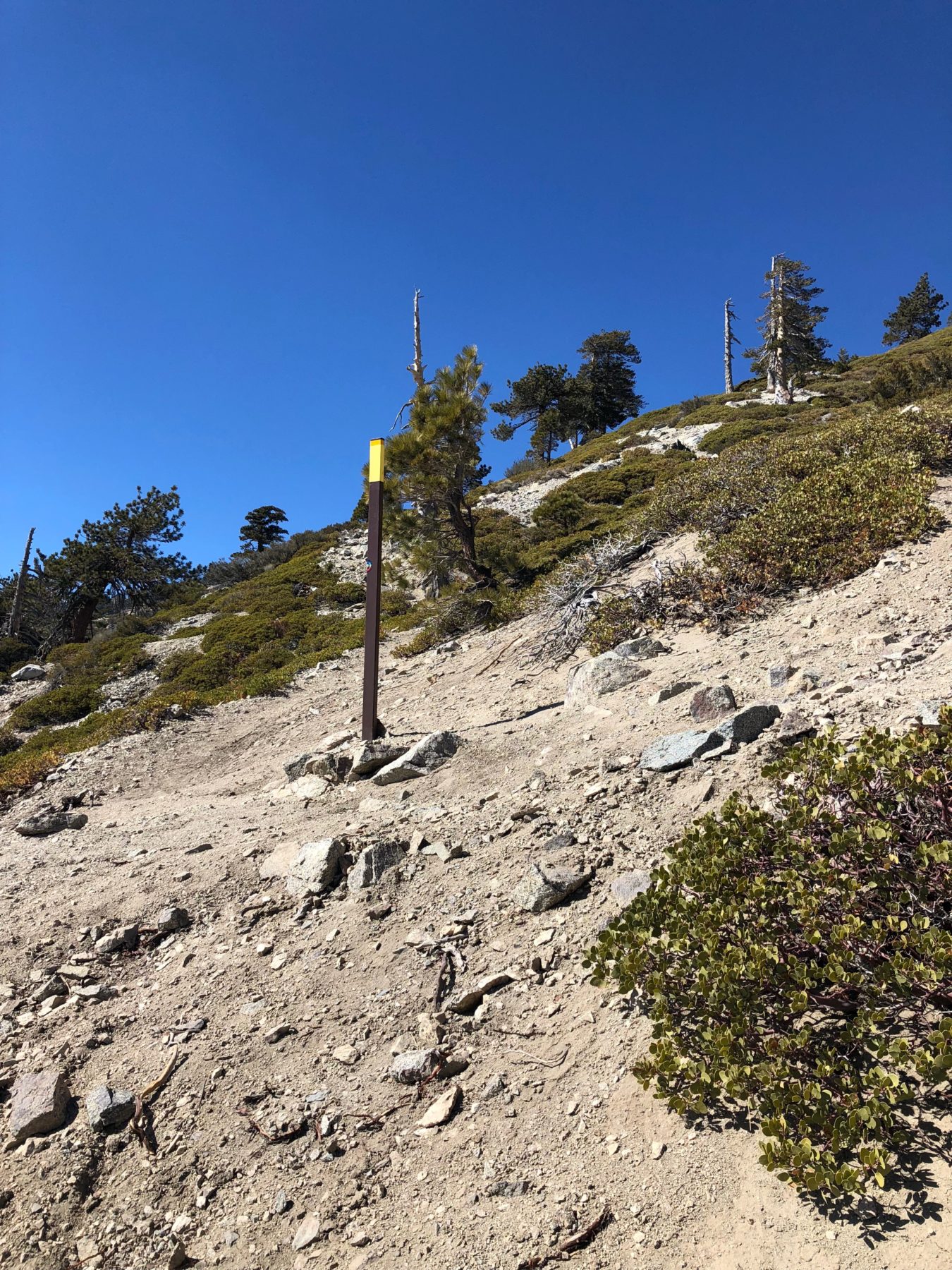 Malibu / Mt. Baldy - Our hiking poles will come in handy on this steep trail. Malibu / Mt. Baldy - Our hiking poles will come in handy on this steep trail.