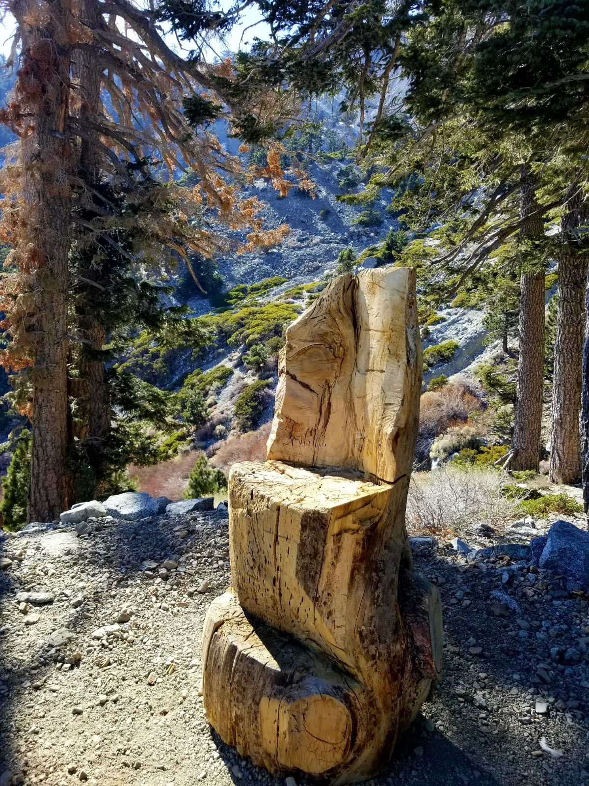 Malibu / Mt. Baldy - One of several hand carved wooden chairs at the Ski Hut. Malibu / Mt. Baldy - One of several hand carved wooden chairs at the Ski Hut.