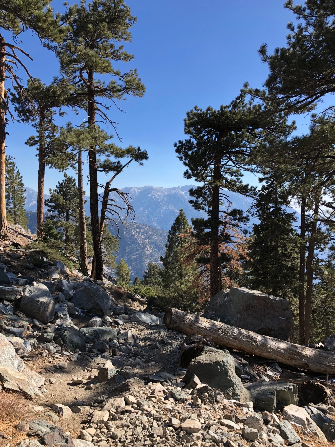 Malibu / Mt. Baldy - Ready for the steep descent to the Ski Hut. Malibu / Mt. Baldy - Ready for the steep descent to the Ski Hut.