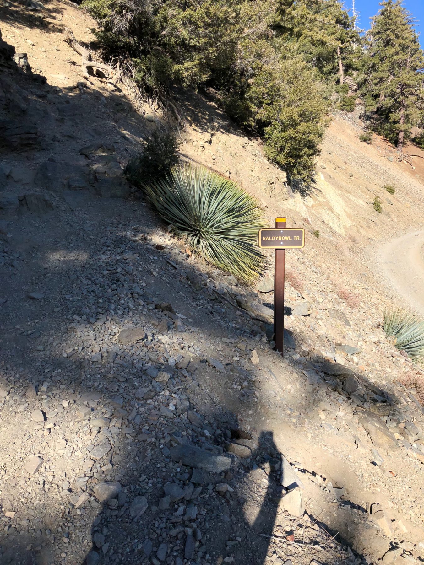 Malibu / Mt. Baldy - We’re on the right path back to the parking lot. Next time, we’ll ascend the Baldy Bowl trail and descend the Devil’s Backbone trail. So many options on Mt Baldy! Malibu / Mt. Baldy - We’re on the right path back to the parking lot. Next time, we’ll ascend the Baldy Bowl trail and descend the Devil’s Backbone trail. So many options on Mt Baldy!