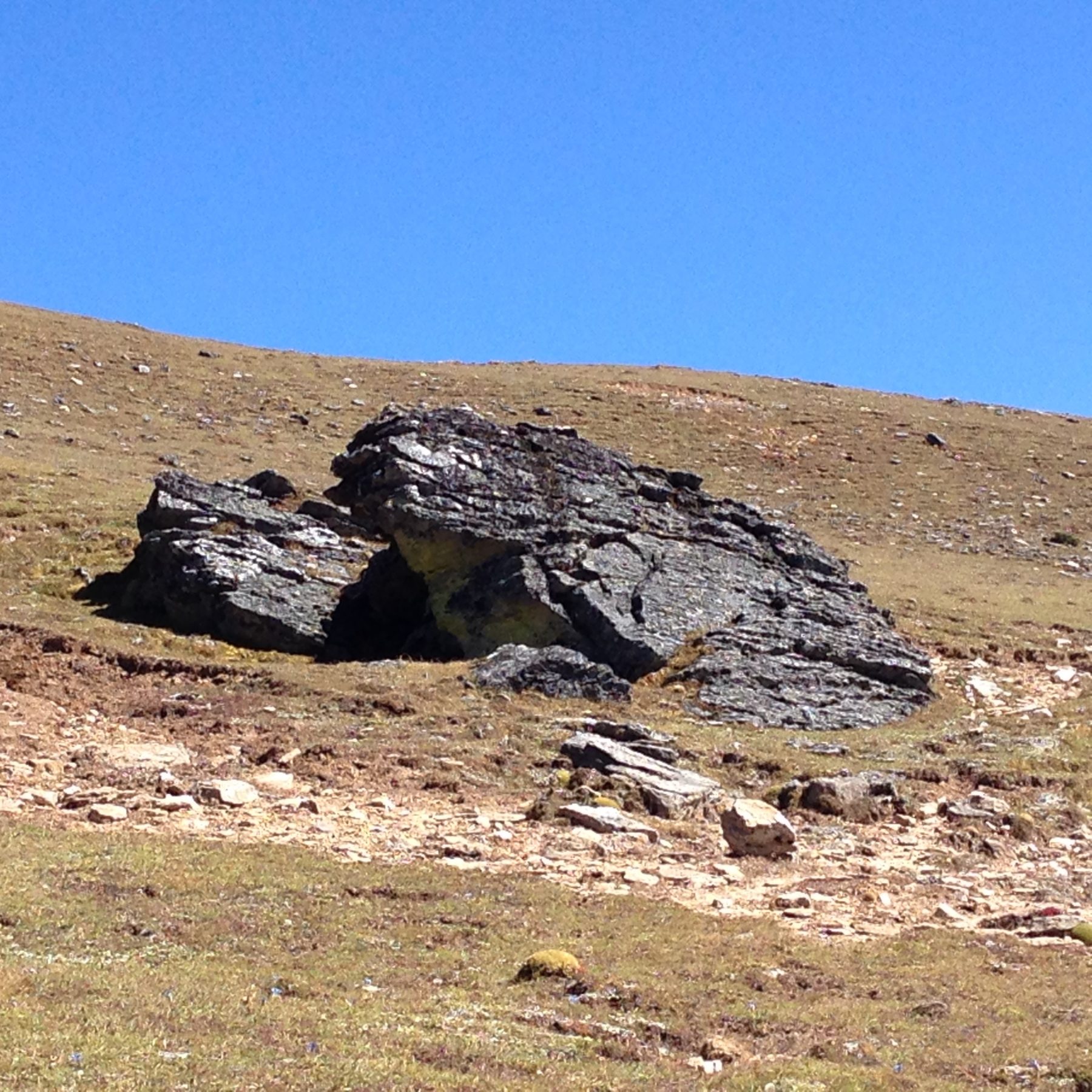 Bhutan Dagala Trek - This rock formation looks like a frog with pursed lips. Bhutan Dagala Trek - This rock formation looks like a frog with pursed lips.