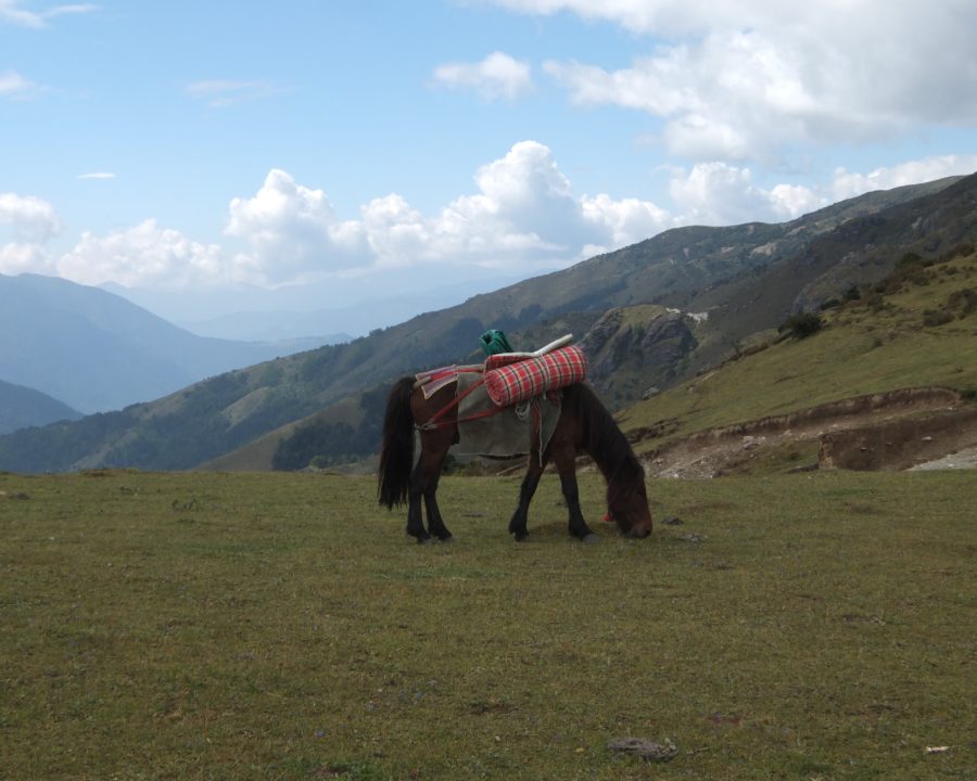 Bhutan Dagala Trek