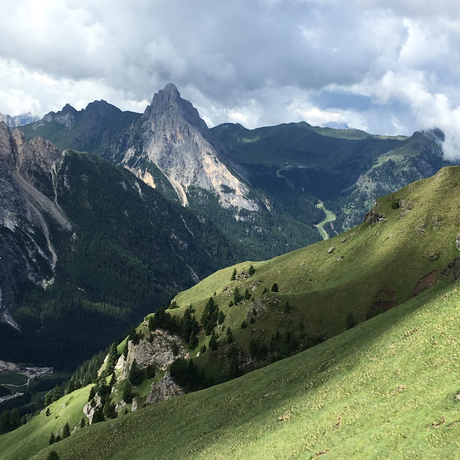 Dolomites, Italy - The spongy terrain was a welcome change from rocks and scree. Dolomites, Italy - The spongy terrain was a welcome change from rocks and scree.