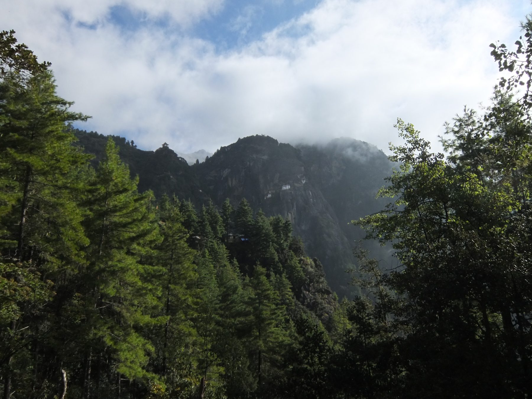 Bhutan Dagala Trek - Dense forest and steep, rugged mountains make Bhutan a perfect destination for trekking. Bhutan Dagala Trek - Dense forest and steep, rugged mountains make Bhutan a perfect destination for trekking.