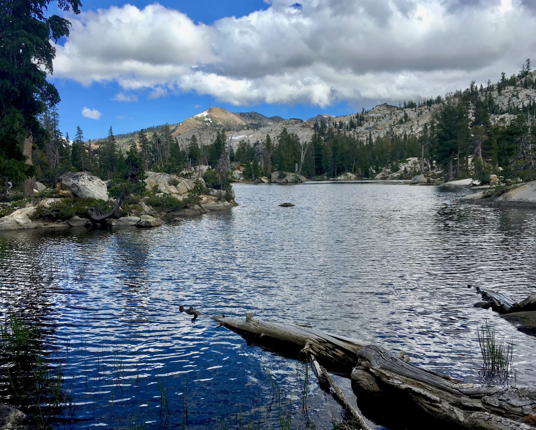 Desolation Wilderness California - We completely lost the trail after the Four Q Lakes, and our Garmin power was so low we were only using it to spot-check our location every 10 minutes. It was going to be a challenge to get back to our campsite before sundown. Desolation Wilderness California - We completely lost the trail after the Four Q Lakes, and our Garmin power was so low we were only using it to spot-check our location every 10 minutes. It was going to be a challenge to get back to our campsite before sundown.