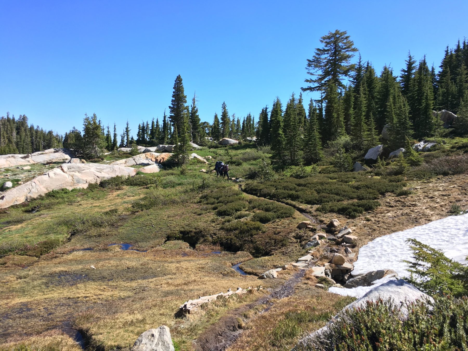 Desolation Wilderness California - We ran into a group from LA headed into Desolation as we were leaving. They reported spotting a mama bear with her cubs, so we stayed alert. Desolation Wilderness California - We ran into a group from LA headed into Desolation as we were leaving. They reported spotting a mama bear with her cubs, so we stayed alert.
