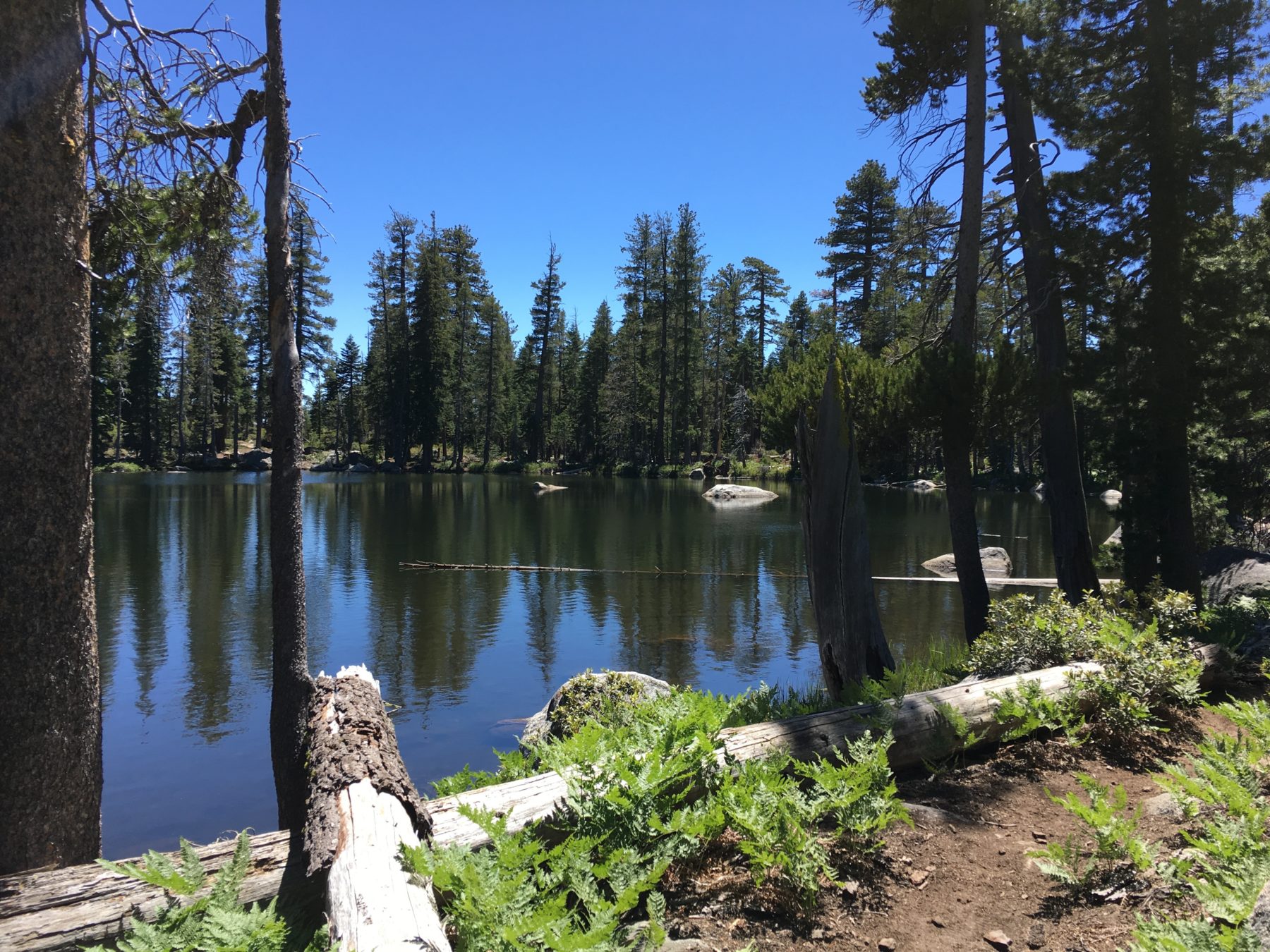 Desolation Wilderness California - On the return journey we made time to stop and enjoy Maud Lake. Desolation Wilderness California - On the return journey we made time to stop and enjoy Maud Lake.