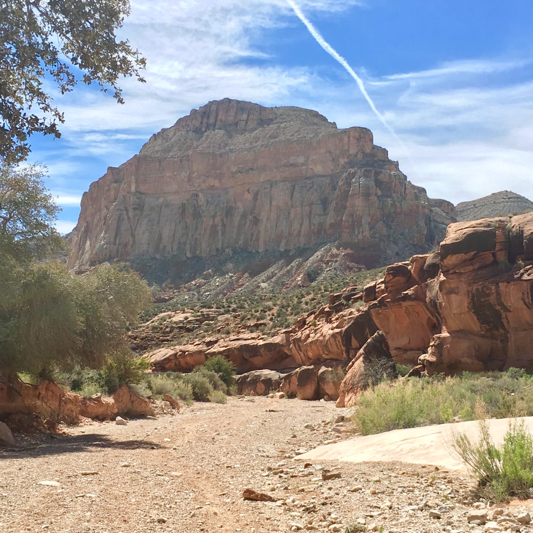Havasupai - We descended 2000 feet in the first mile all via switchbacks and then we were on the floor of the Grand Canyon. It’s overwhelming to think that each sedimentary layer in the rocks is millions of years of history. Havasupai - We descended 2000 feet in the first mile all via switchbacks and then we were on the floor of the Grand Canyon. It’s overwhelming to think that each sedimentary layer in the rocks is millions of years of history.