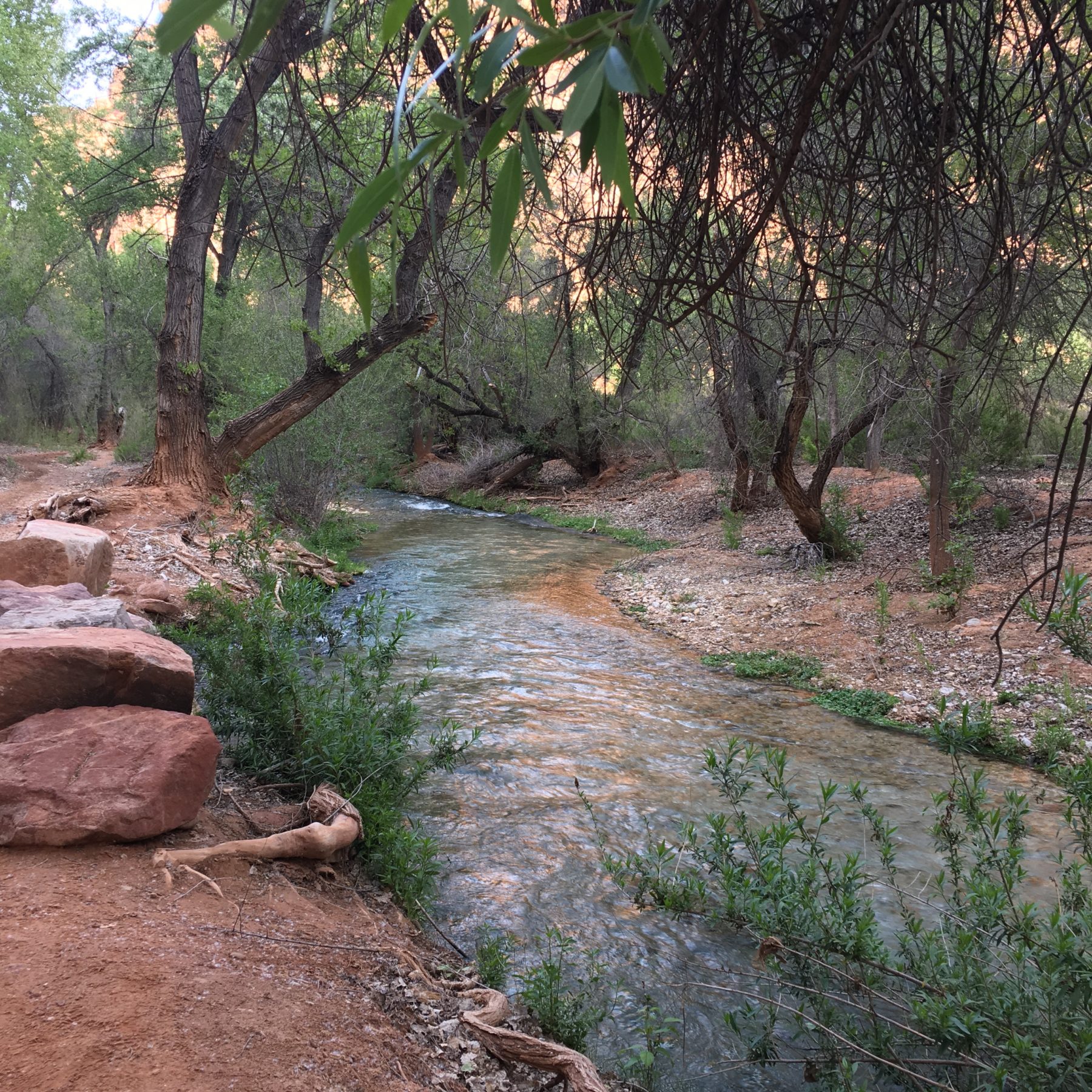 Havasupai - Havasu Creek, a year round stream that will flow into Supai Village and form the 5 waterfalls with the improbable aquamarine water. Havasupai - Havasu Creek, a year round stream that will flow into Supai Village and form the 5 waterfalls with the improbable aquamarine water.