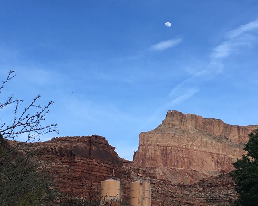 Havasupai