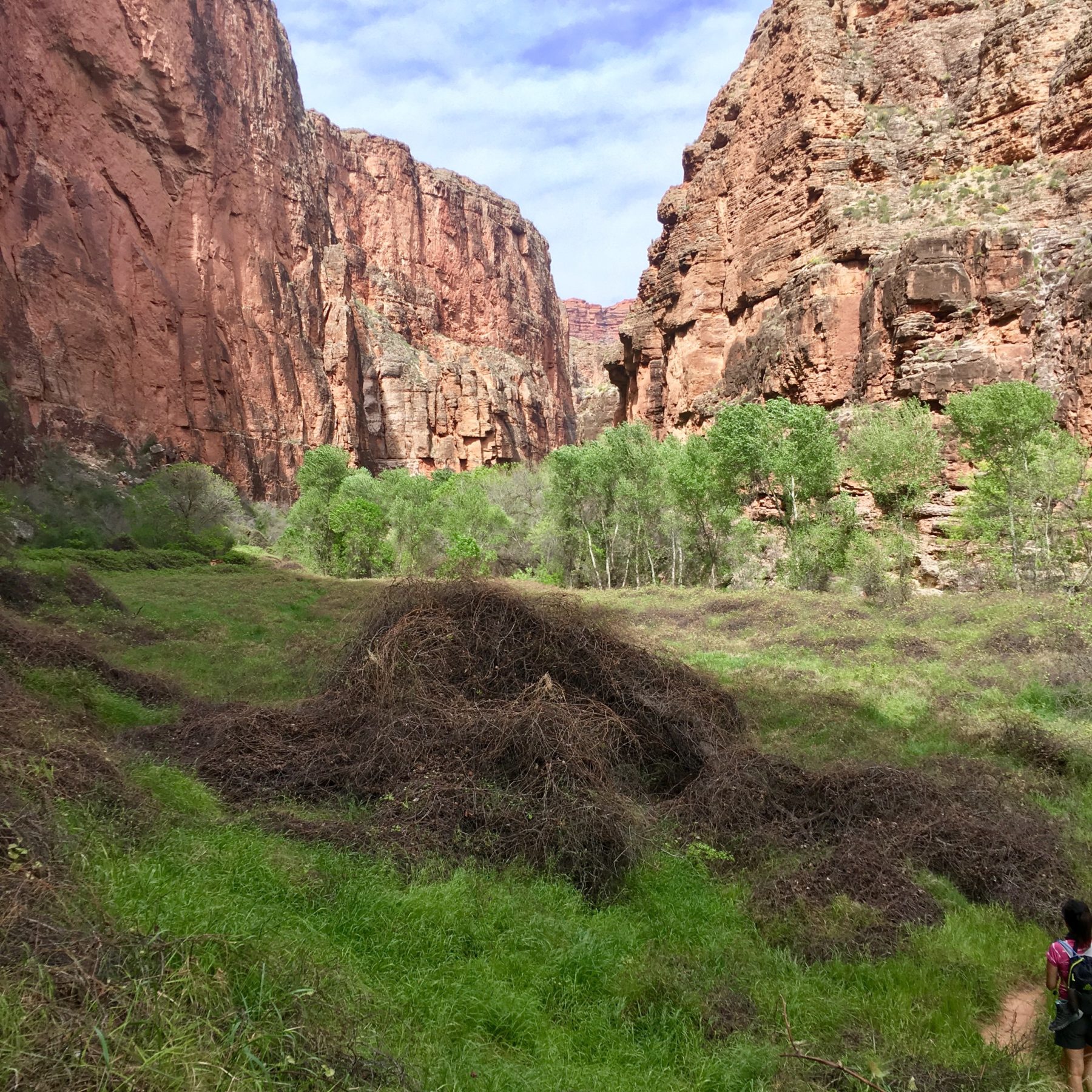 Havasupai - The Grand Canyon is a good example of how travel gives you perspective. Havasupai - The Grand Canyon is a good example of how travel gives you perspective.