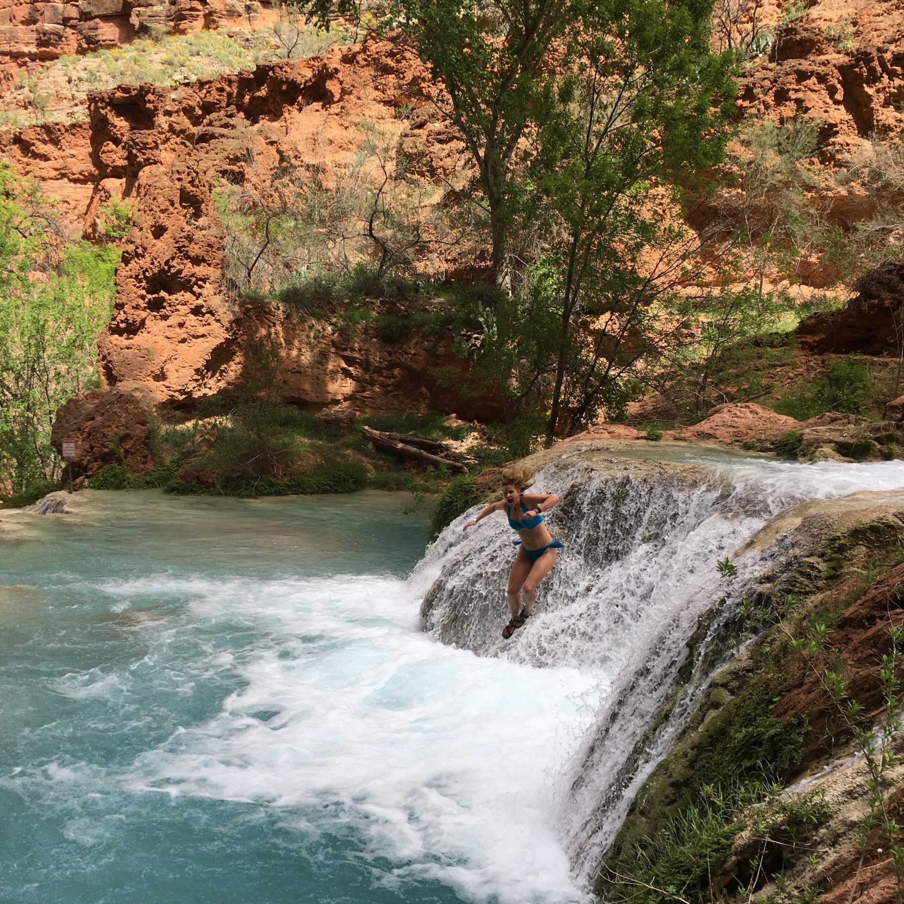 Havasupai - Give risk a chance. Havasupai - Give risk a chance.