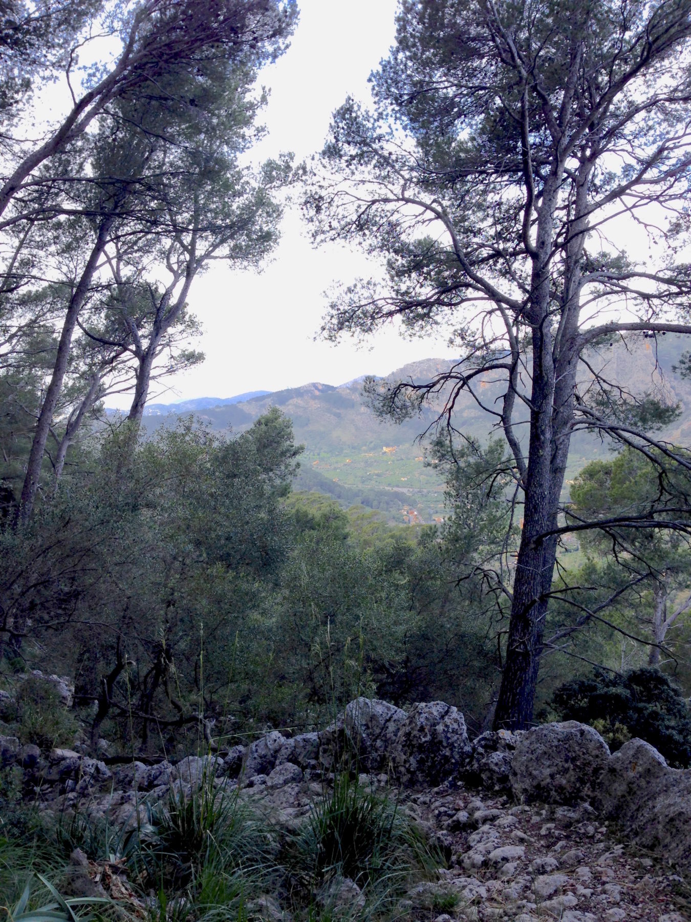 Mallorca, Spain - The Serra de Tramuntana mountain range in northwest Mallorca is a UNESCO designated site. Early settlement by Arab invaders and later by Christian armies created terraced agricultural landscape on this water-starved island. The 56 mile long mountain range is a hiker’s paradise. Mallorca, Spain - The Serra de Tramuntana mountain range in northwest Mallorca is a UNESCO designated site. Early settlement by Arab invaders and later by Christian armies created terraced agricultural landscape on this water-starved island. The 56 mile long mountain range is a hiker’s paradise.
