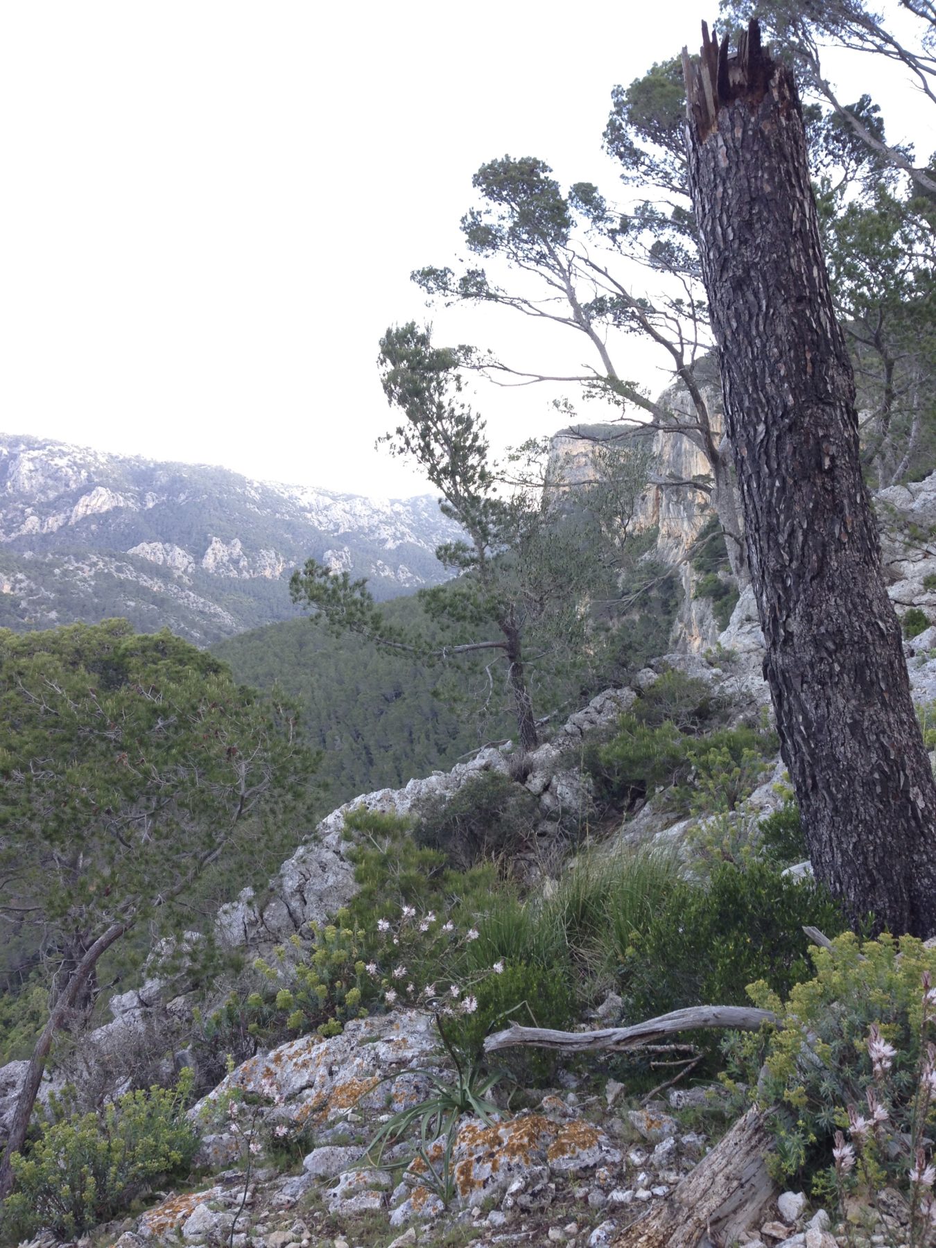 Mallorca, Spain - It’s a cool day in Mallorca but we remind ourselves to stay hydrated when we stop to take a picture. Mallorca, Spain - It’s a cool day in Mallorca but we remind ourselves to stay hydrated when we stop to take a picture.