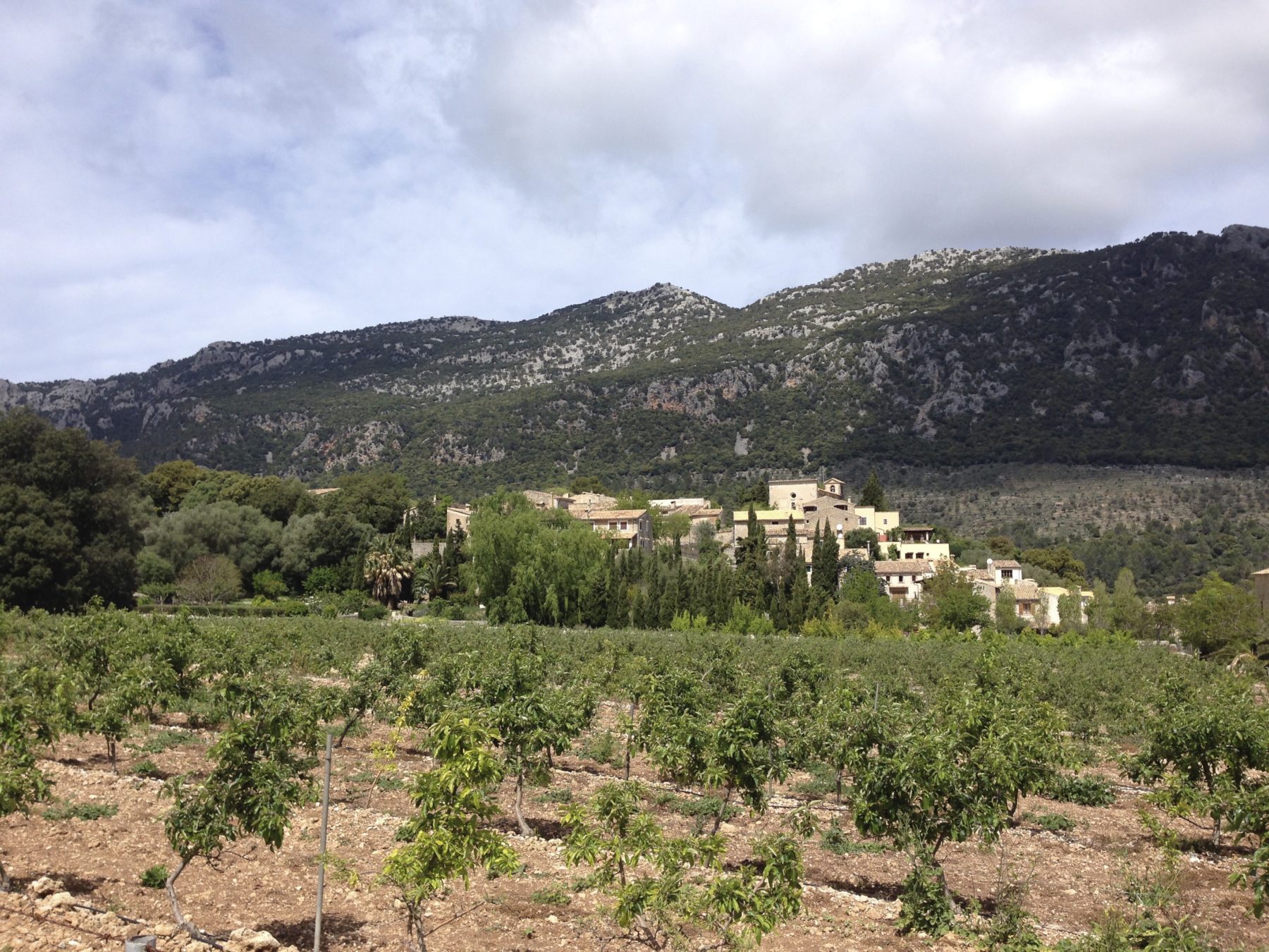 Mallorca, Spain - The tiny village of Orient has a population of 30. But it has 3 restaurants to serve all of the visitors who want to visit one of the most remote villages in Mallorca. Mallorca, Spain - The tiny village of Orient has a population of 30. But it has 3 restaurants to serve all of the visitors who want to visit one of the most remote villages in Mallorca.