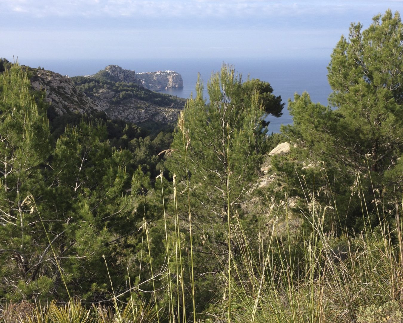 Pilgrim&#8217;s Trail, Barranco de Biniaraix