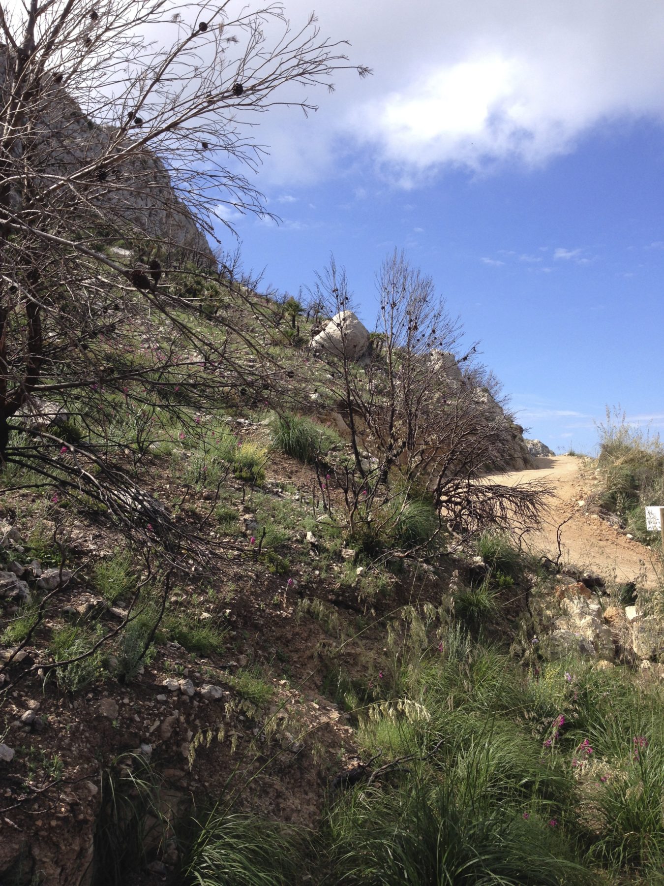 Mallorca, Spain - We carried a mandatory 2 liters of water each day and we were reminded by our guides every 20 minutes via walkie-talkies to “hydrate, hydrate, hydrate.” Mallorca, Spain - We carried a mandatory 2 liters of water each day and we were reminded by our guides every 20 minutes via walkie-talkies to “hydrate, hydrate, hydrate.”