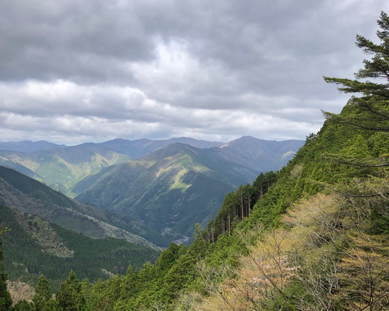 Miuraguchi to Subaru no Sato: Kumano Kodo Kohechi Route