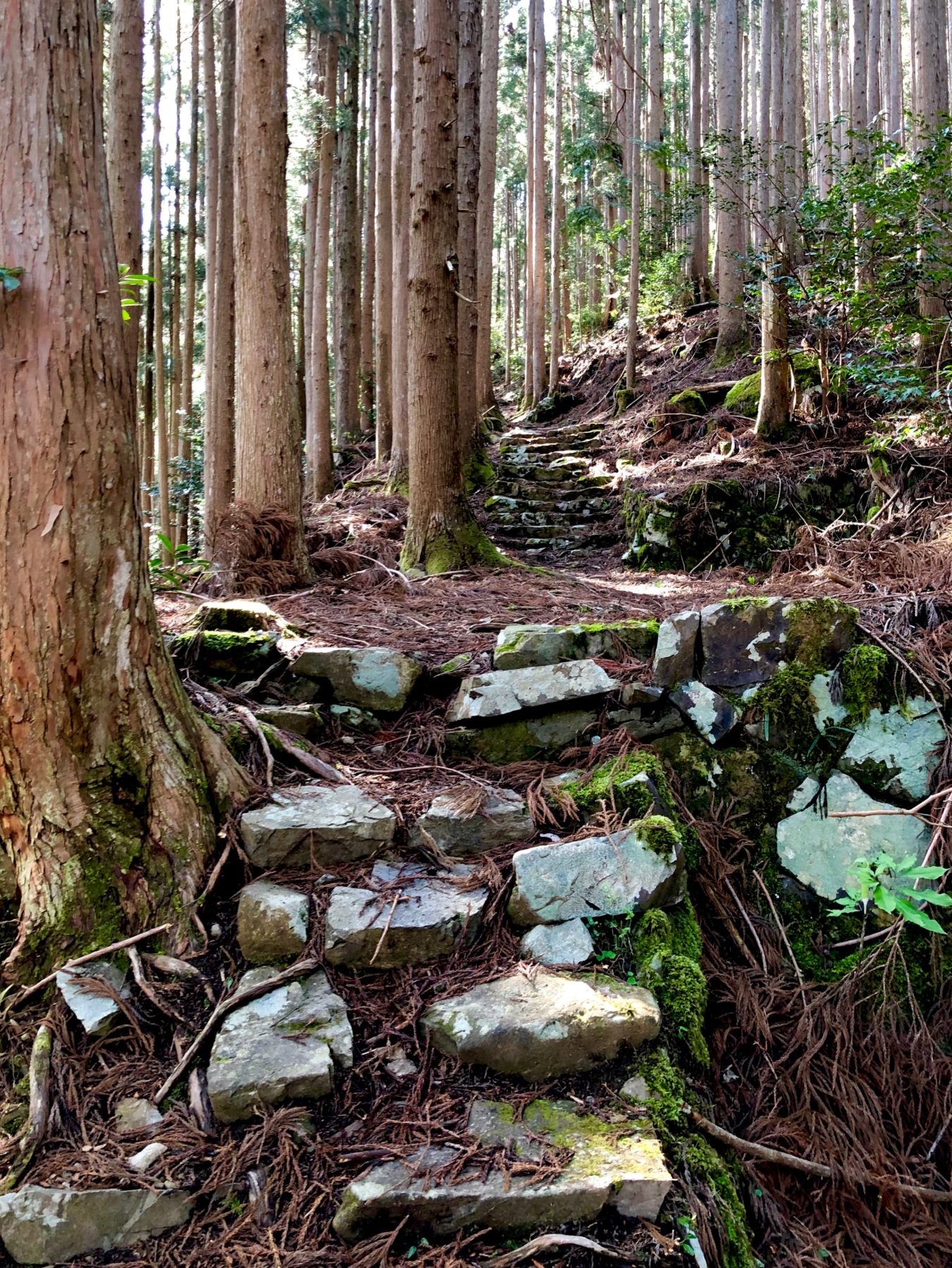 Kumano Kodo, Japan - Kumano Kodo, Japan -