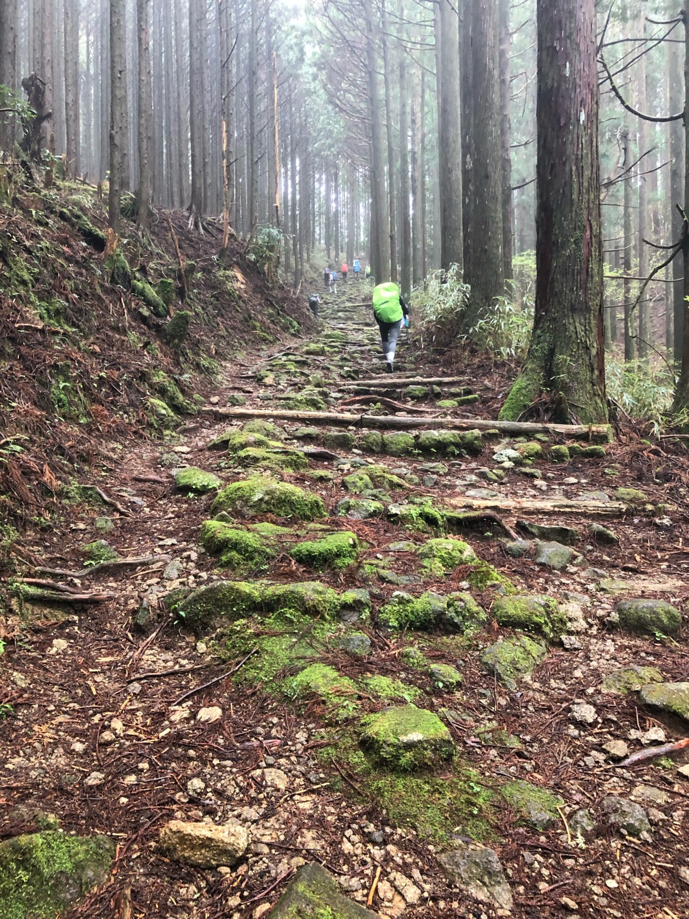 Kumano Kodo, Japan - Kumano Kodo, Japan -