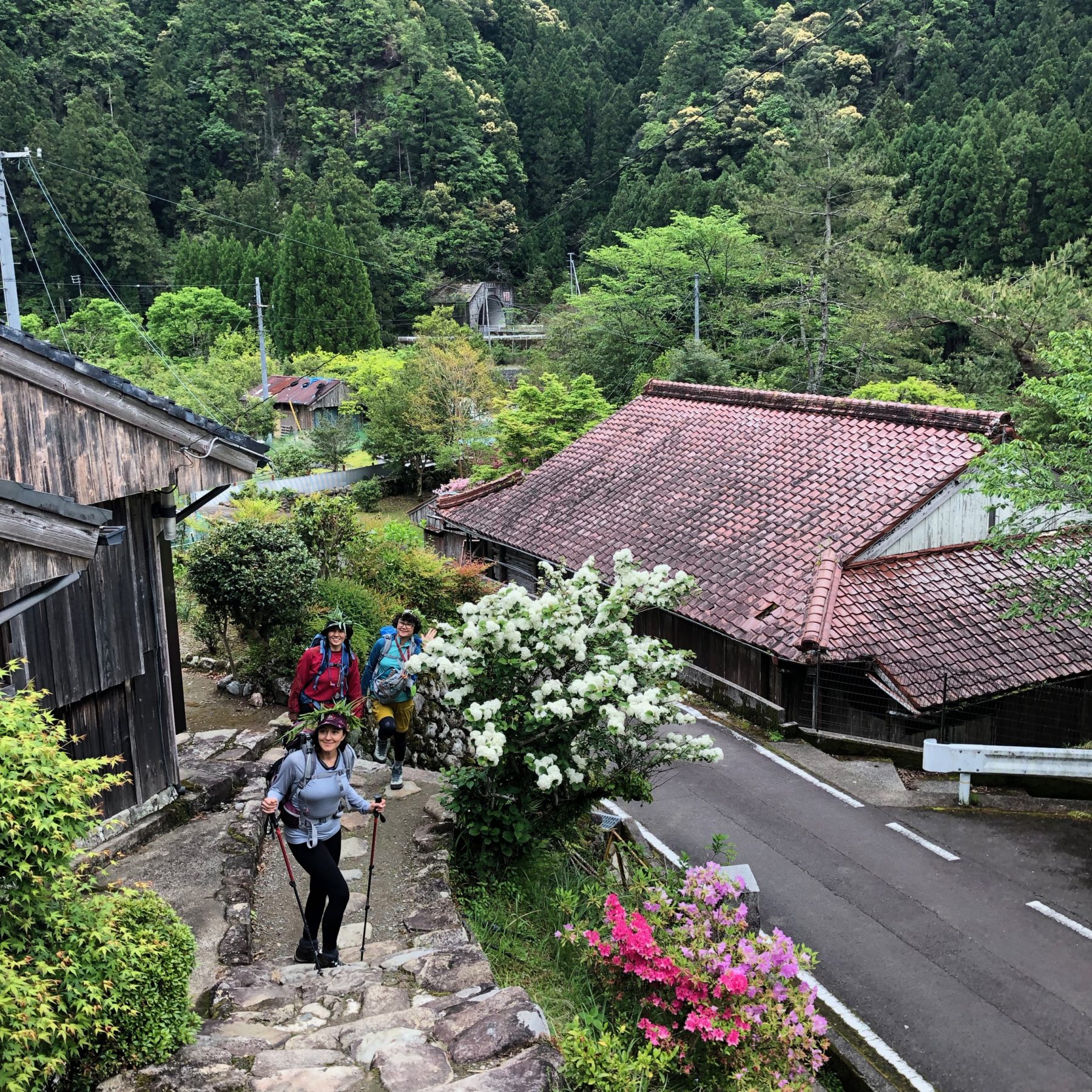 Kumano Kodo, Japan - Kumano Kodo, Japan -