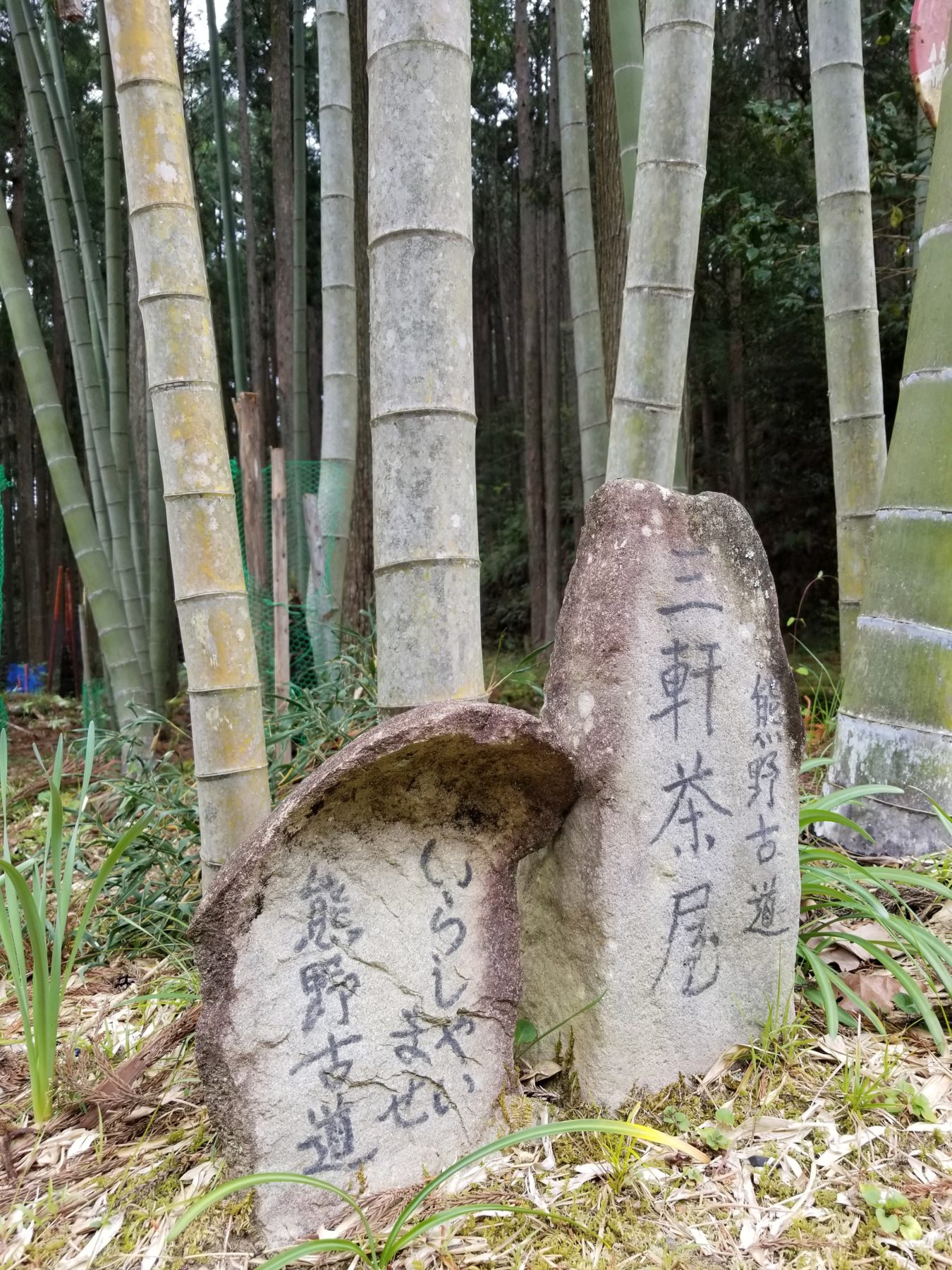 Kumano Kodo, Japan - Hike-U: . Nature and trekking . Journey to Enlightenment . Kumano Kodo . – Missy Mans . Kumano Kodo, Japan - Hike-U: . Nature and trekking . Journey to Enlightenment . Kumano Kodo . – Missy Mans .