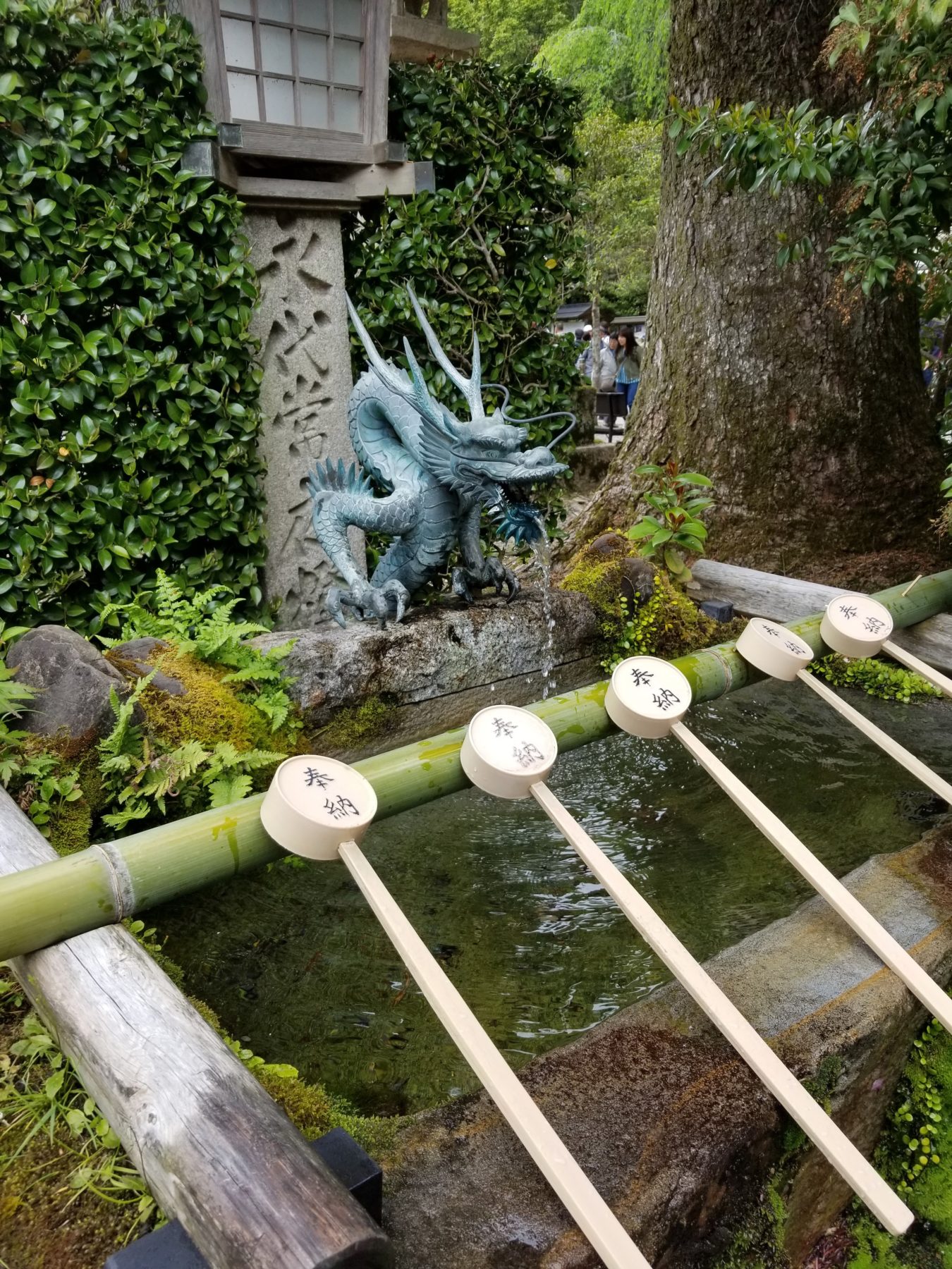 Kumano Kodo, Japan - Kumano Kodo, Japan -