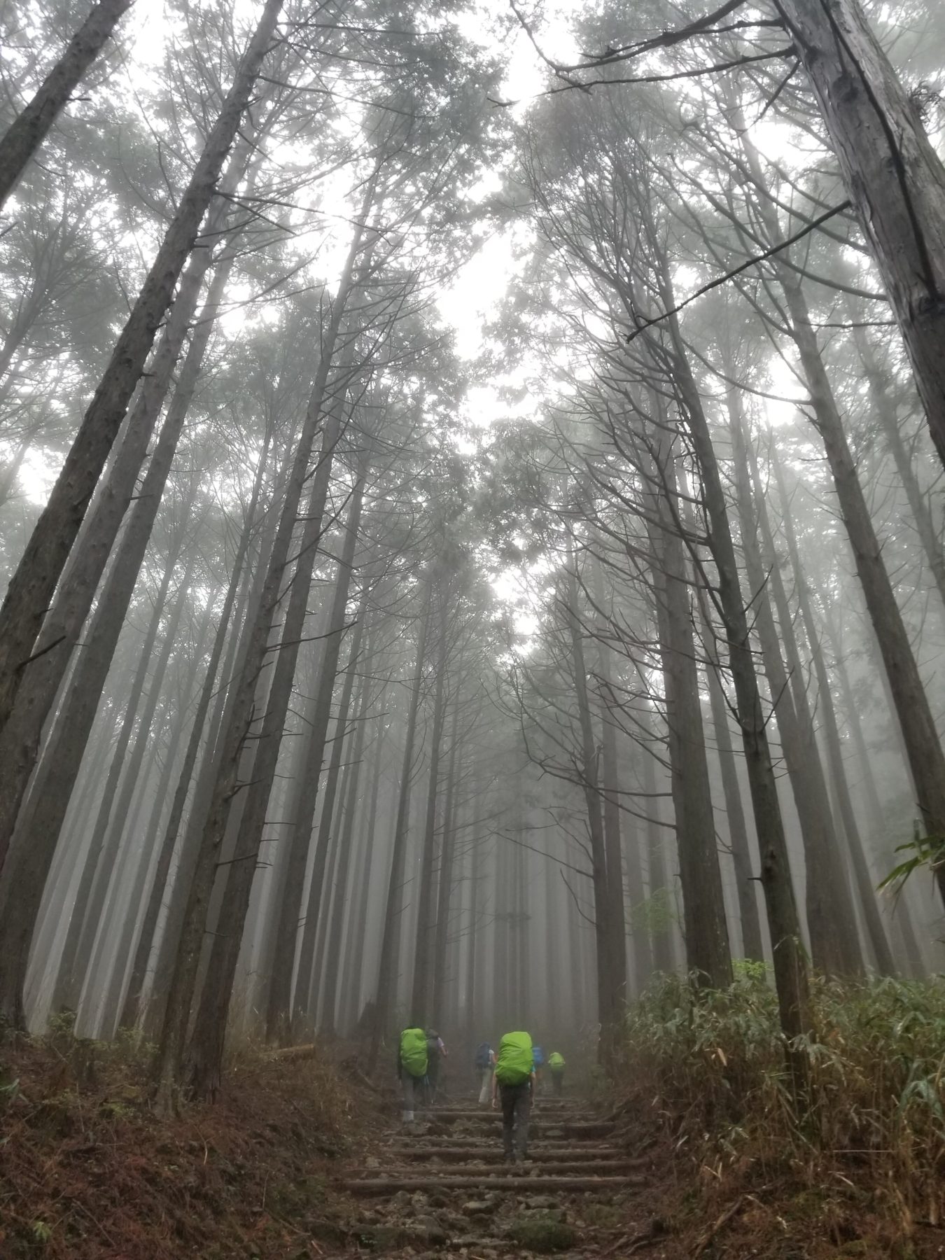 Kumano Kodo, Japan - Kumano Kodo, Japan -