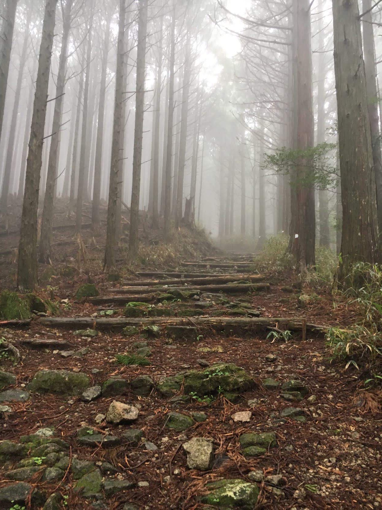 Kumano Kodo, Japan - Together we dare to go further than we would alone. So we ventured out into the strange and unknown. Not just dipping our toes in but going for the deep dive of immersive experience. It was an exploration of place and self. Kumano Kodo, Japan - Together we dare to go further than we would alone. So we ventured out into the strange and unknown. Not just dipping our toes in but going for the deep dive of immersive experience. It was an exploration of place and self.